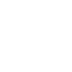 YANASE BAT COMPANY